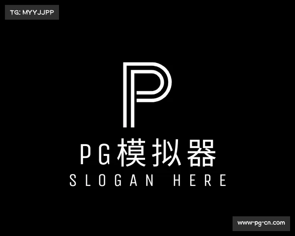 了解pg模拟器